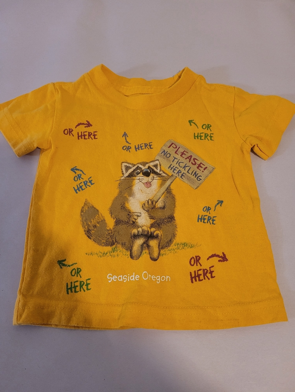 4/$10 Artisans Yellow Seaside Oregon Raccoon Tshirt Size 6 Months